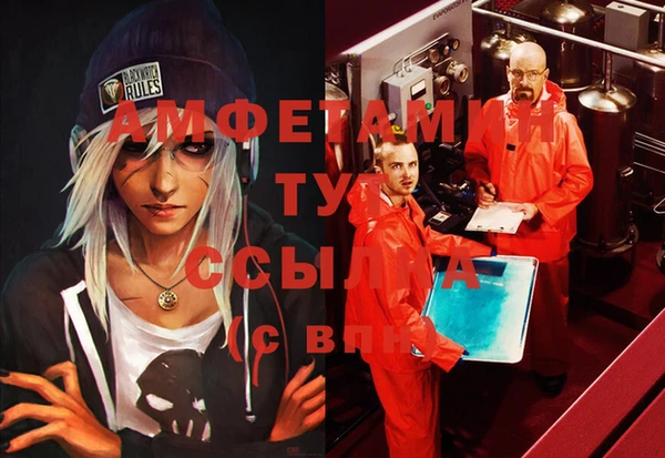 крисы Анива