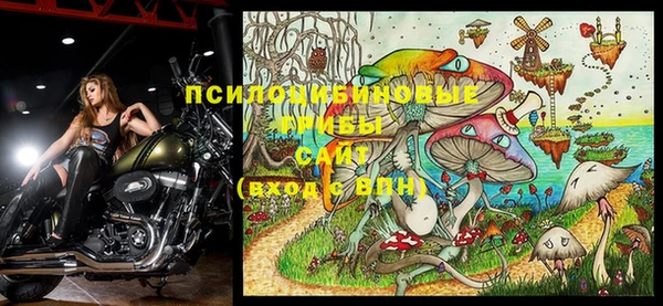 a pvp Алзамай