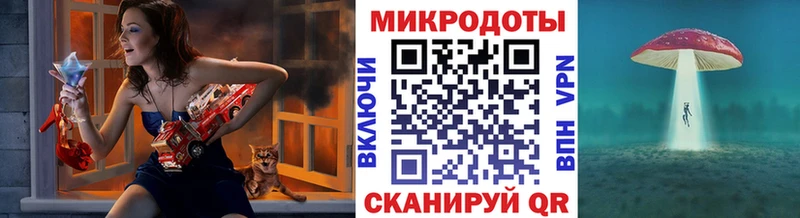 mega tor  Наволоки  Галлюциногенные грибы Cubensis 
